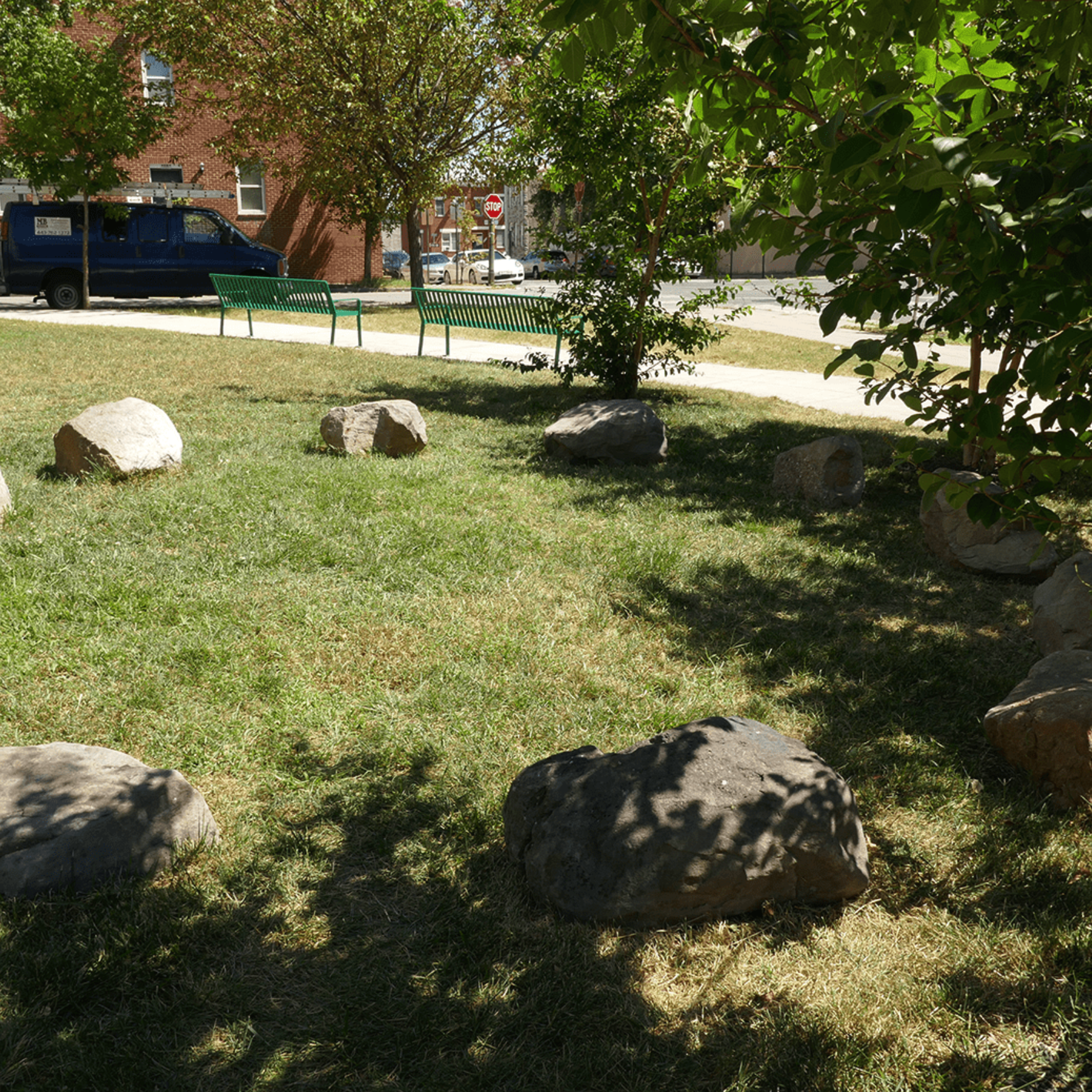 Photo of community
